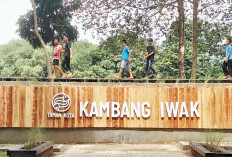 Tampilan Baru Kambang Iwak Banyak Lokasi Jadi Objek Foto Selfi