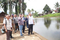 Cukupi Kebutuhan Ikan, Pemkab Lahat Kebut Pembangunan BBI