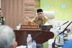 Sekda Muba Apriyadi Surati Kementerian LHK