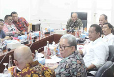 Kadin Sumsel Bakal Bangun Pabrik Biomassa di Muba