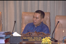 Anggota DPRD Sumsel Nasrul Halim Apresiasi Peluncuran Program Gerina di Banyuasin 
