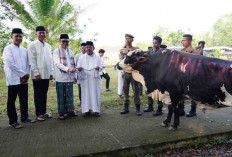 Momentum Tepat Mengasah Keikhlasan dan Peduli