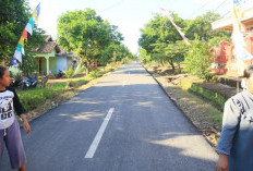 18 Ruas Jalan di Banyuasin Mulus 