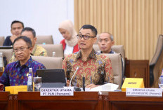 PLN Ajukan Rp 3 Triliun PMN 2025 Untuk Bangun Kelistrikan Daerah Terpencil