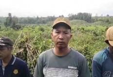Waspada, Kawanan Gajah Kembali Rusak Kebun Warga di PALI