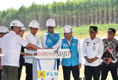 Presiden Jokowi Groundbreaking Pembangunan PLTS PLN 50 MW di IKN Nusantara