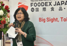 RI Tawarkan Proyek Hilirisasi Timah Hingga 'Giant Sea Wall' ke Jepang