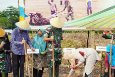 Gubernur Bengkulu Bersama Danrem Tinjau Lahan Sawah di Tiga Desa Enggano, Miliki Potensi Wisata Alam Menarik