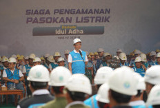  Sambut Idul Adha 1446 H, PLN Siaga Jaga Listrik Andal di Seluruh Tanah Air   