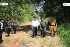  Respon Keluhan Masyarakat, Wako Arlan Minta Bantuan Gubernur Bangun Jalan Nigata