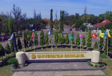 Universitas Sriwijaya Tembus 25 Besar Kampus Terbaik Indonesia Versi Webometrics
