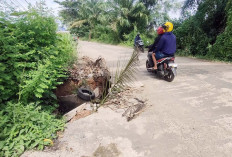 Lubang Besarnya Tertutup Semak Belukar