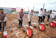 Wujudkan Swasembada Pangan 2025, Polri-Kementan Tanam Jagung