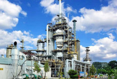 Inovasi Kilang Pertamina Plaju Tekan Emisi GRK dan DLHK Kota Palembang, Verifikasi Berkelanjutan