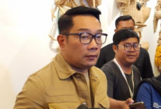 Butuh Dana Kampanye, Cagub RK Bakal Jual Lukisan 