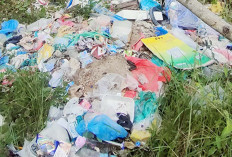 Waspada Musim Panas, Kebakaran Lahan Bermula dari Pembuangan Sampah Sembarangan Dibakar Orang Tak Dikenal
