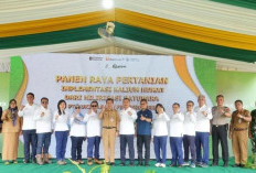 Kinerja Tetap Solid, PT Bukit Asam Tbk Bukukan Laba Rp2,93 Triliun di Tengah Tekanan Pasar