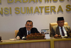 Pemprov Sumsel Respons Rencana WFH Pusat untuk Efisiensi Energi 