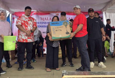 Desa Merah Mata Meriahkan HUT RI dengan Karnaval dan Pasar Murah