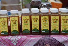 Kembangkan Potensi Nanas Patih Galung Jadi Produk Bernilai, PLN UIP Sumbagsel Gelar Pelatihan Pengolahan Nanas