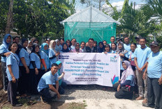    PLN Dorong Kemandirian Kelompok  Wanita Tani Gendis Ayu Jahe