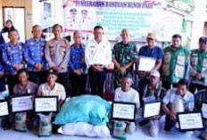 Wako Arlan Ingatkan Penerima Bantuan Benih Padi di Poktan Payuputat