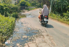 Genangan Air di Jalan Gogokan Kito Berpotensi Rusak Badan Jalan dan Membahayakan Pengguna