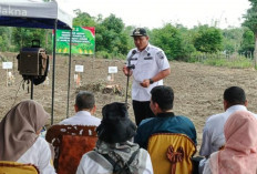Asta Cita Dimulai: Prabumulih Gaspol Swasembada Jagung!