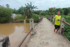 Tiang Pengaman Patah dan Besi di Jembatan Putih Sungai Kedukan Banyak Hilang 