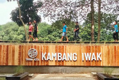 Wajah Baru Kambang Iwak Banyak Objek Foto Selfi