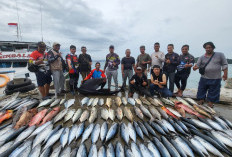 8 Tips Memancing Ikan agar Dapat Banyak, Yuk Coba Sekarang!