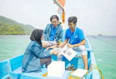 UNILA Rajut Asa di Teluk Kiluan Lewat Inovasi Terumbu Karang Pintar