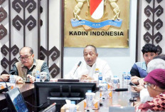 Guna Atasi Tarif Resiprokal, Kadin Sarankan Pemerintah Perkuat Pendekatan ke AS