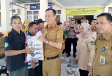 Dukung Pemerintah Atasi Kerawanan Pangan