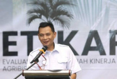  Kementan Ungkap PR Besar Sawit, Kakao, Kelapa: Peremajaan hingga Sertifikasi ISPO Jadi Prioritas