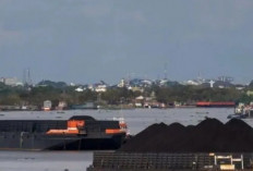  Produksi Batu Bara Sumsel Capai 120,74 Juta Ton Sepanjang 2025