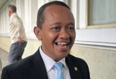 Potensi Besar : 30 Ribu Sumur Rakyat  Siap Dongkrak Lifting Minyak Nasional