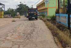 Jalan Rusak Diduga Kendaraan Muatan Berat Sering Melintas Depan SD Negeri 14 Tanjung Barangan 