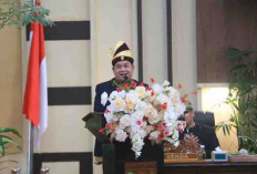 Angka Kemiskinan Banyuasin Turun Drastis, Produksi Padi Luar Biasa