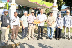 Sapi 1,1 Ton Milik Peternak OKI jadi Pilihan Kurban Presiden