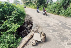 Belum Tersentuh, Lubang Besar di Perum PNS Pemkot Gandus