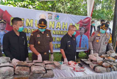 35 Kg Ganja tak Bertuan di OKU Timur Dimusnahkan