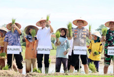 Tekankan Kelancaran Distribusi Pupuk dan HPP Memadai