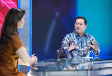 Ubah Rawa Jadi Sawah, Banyuasin Jadi Produsen Beras Terbesar RI