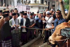 Penyembelihan Hewan Qurban Usai Shalat Idul Adha, Sapi Menjadi Hewan Qurban Dominan