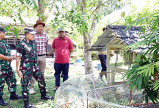 Perkuat Ketahanan Pangan, Danrem 044/Gapo Latih Prajurit Yon TP di Sembawa