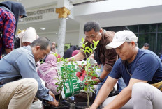 Urban Farming Pusri Palembang Gelar Pelatihan Melalui Rumah BUMN Sumsel
