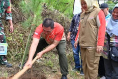 Wako Pagaralam Mulai Program Penanaman 1 Juta Pohon Pinus