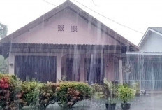 Waspadai Cuaca Ekstrem, Hujan Disertai Angin Kencang