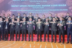 Inisial MS Calon Dirut BSB, Herman Deru: Putra Daerah dan Berkarir di Himbara